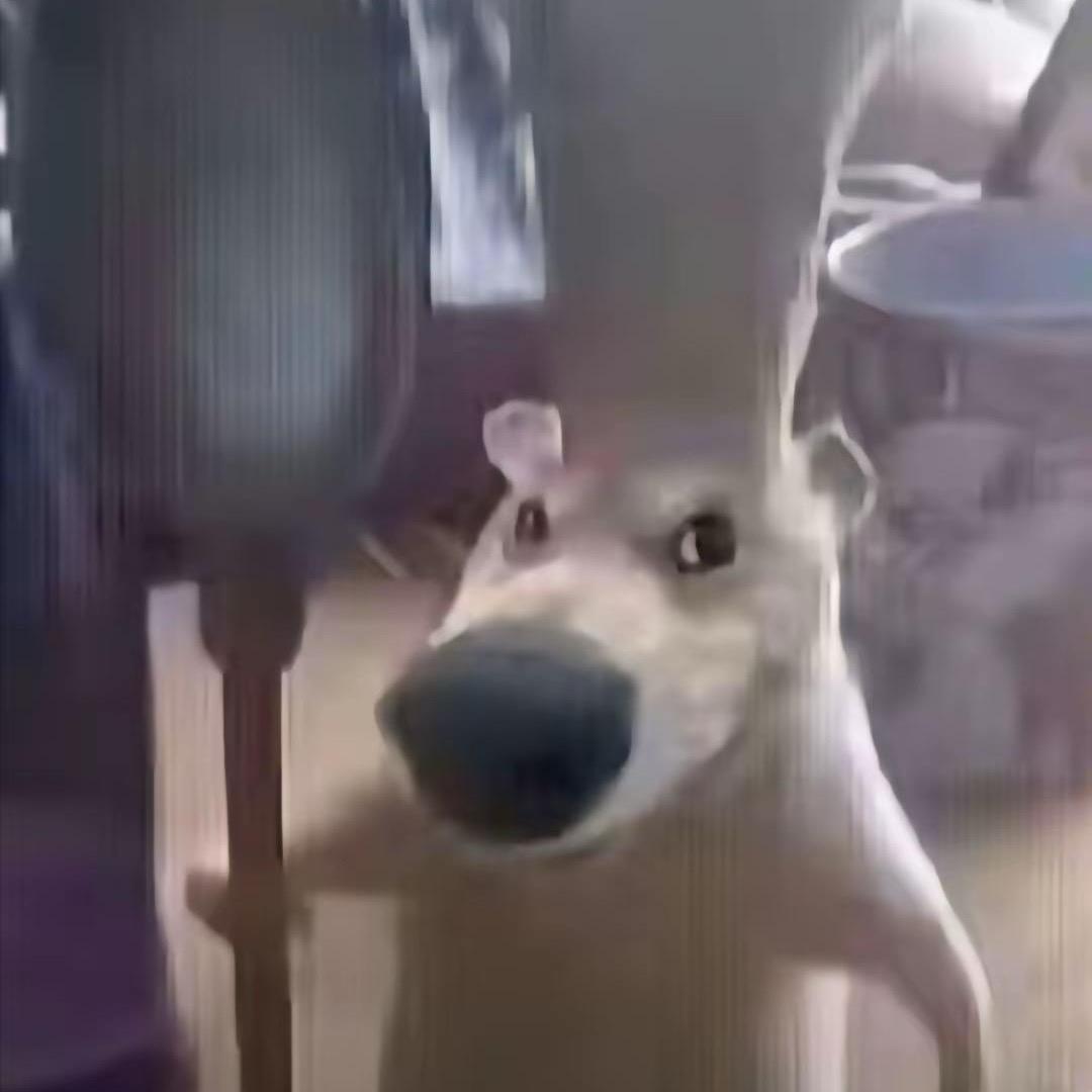 ¥