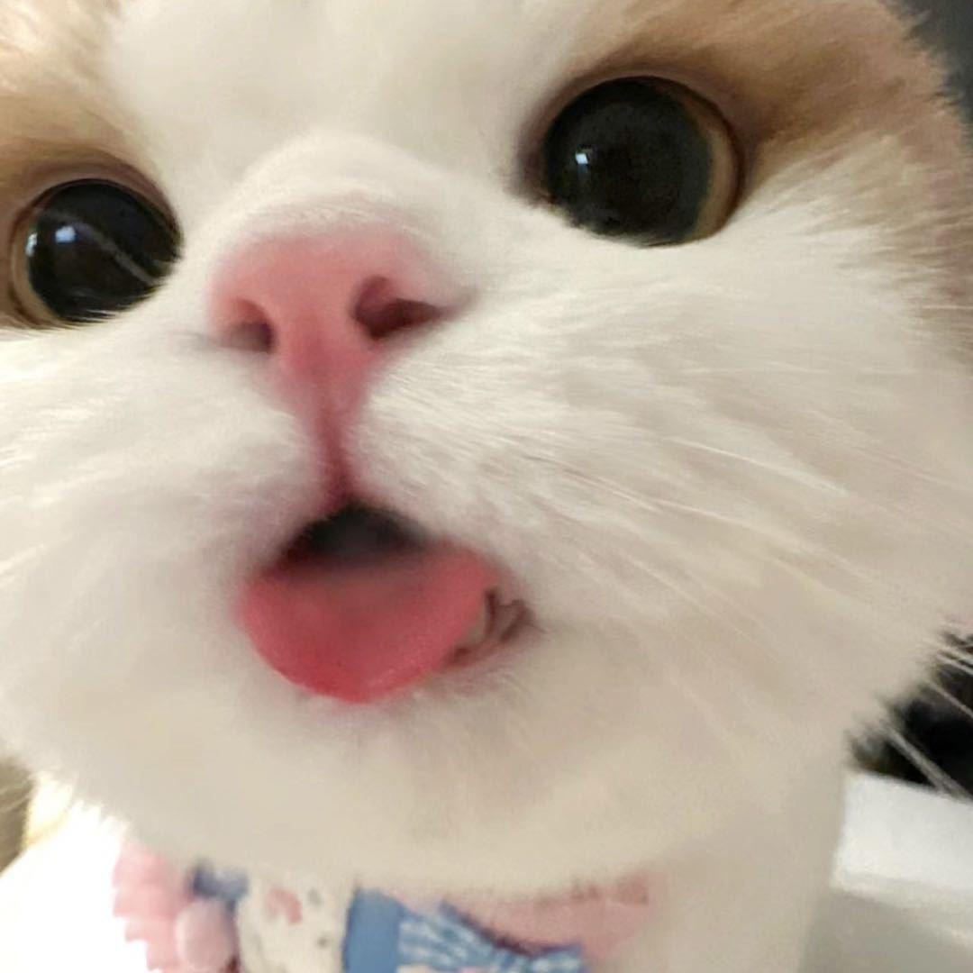軍