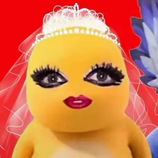 69岁离婚全职养蟑螂