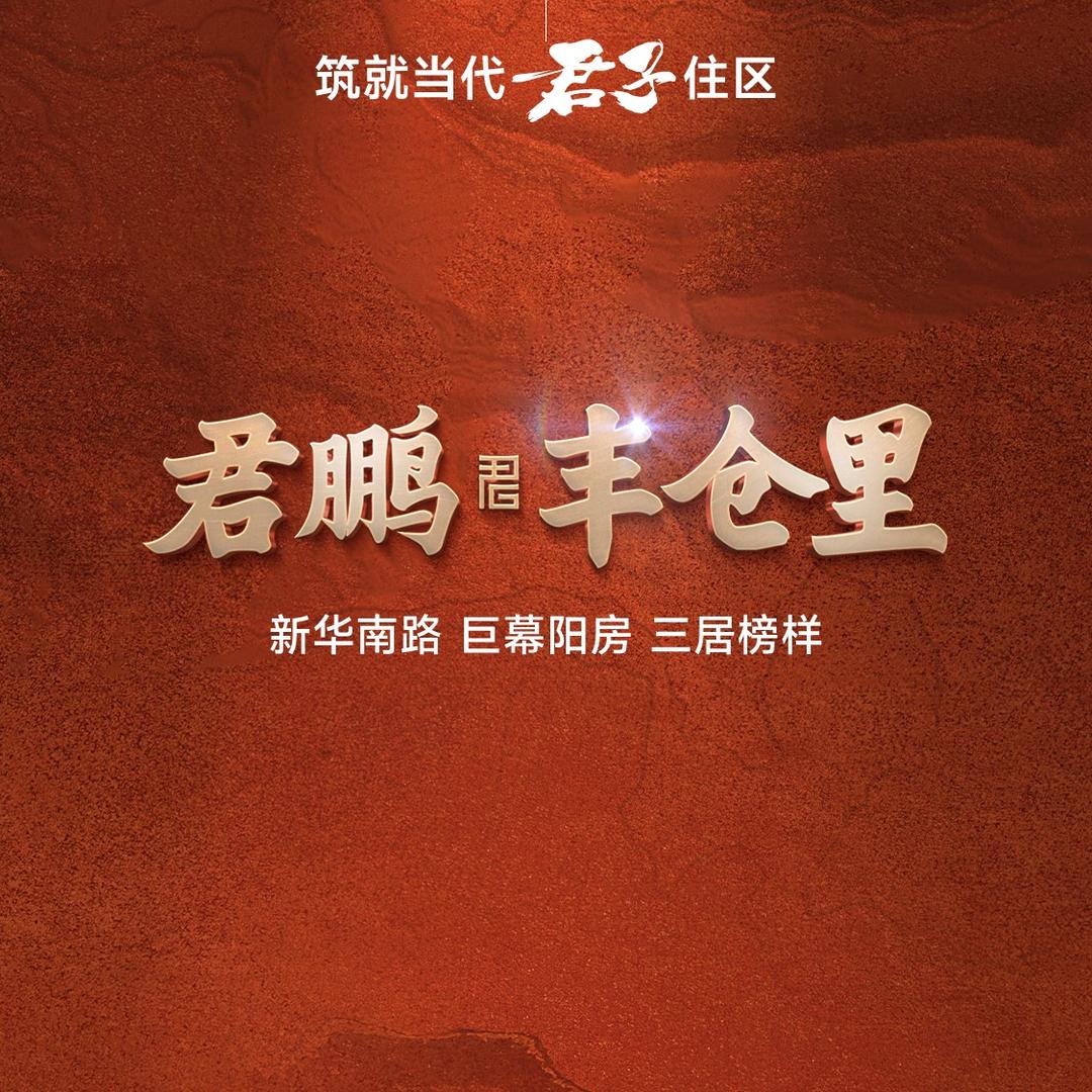 君鹏丰仓里-安琪