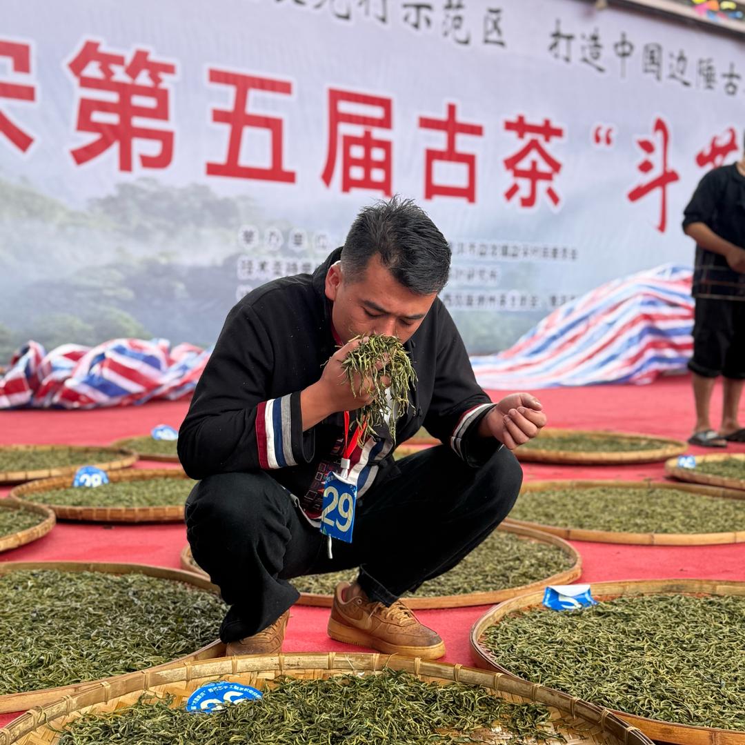 豪