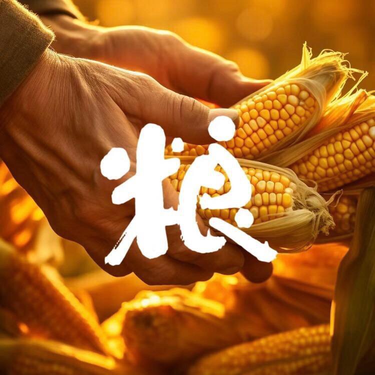拾玖美食
