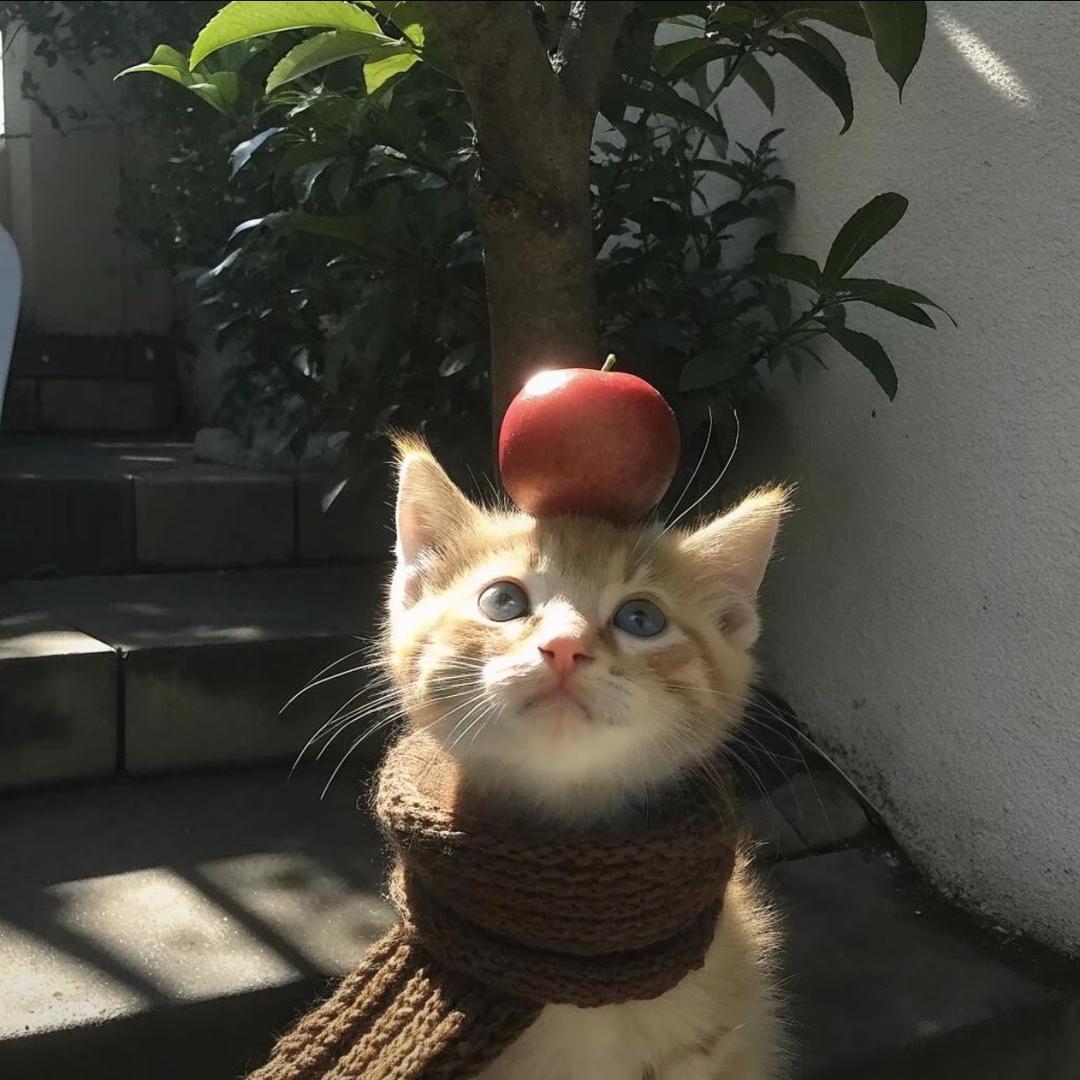 莉莉安
