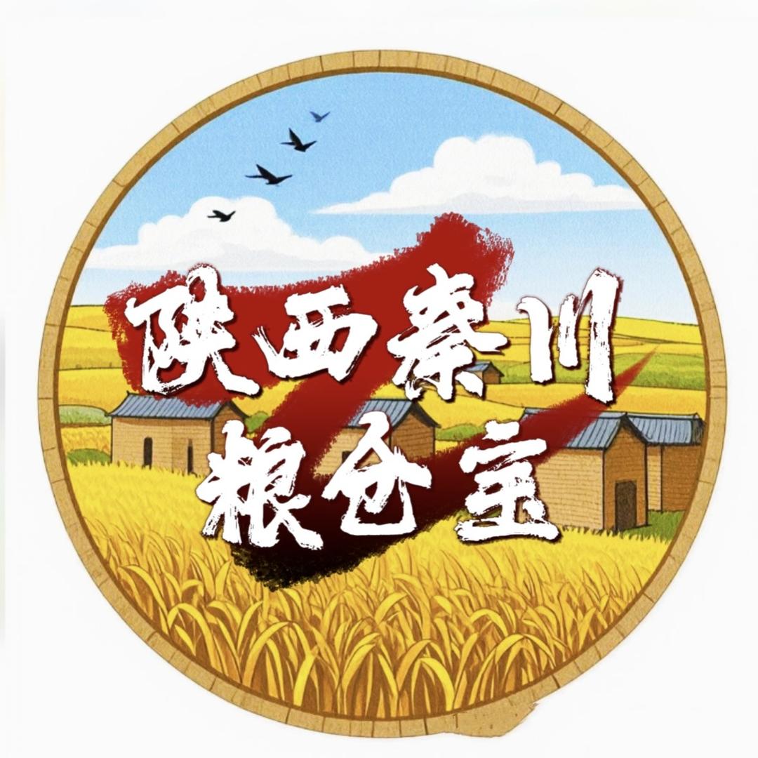陕西秦川粮仓宝