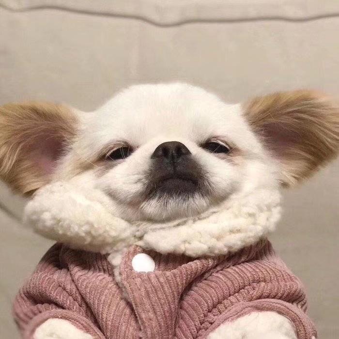 教官今天吃啥