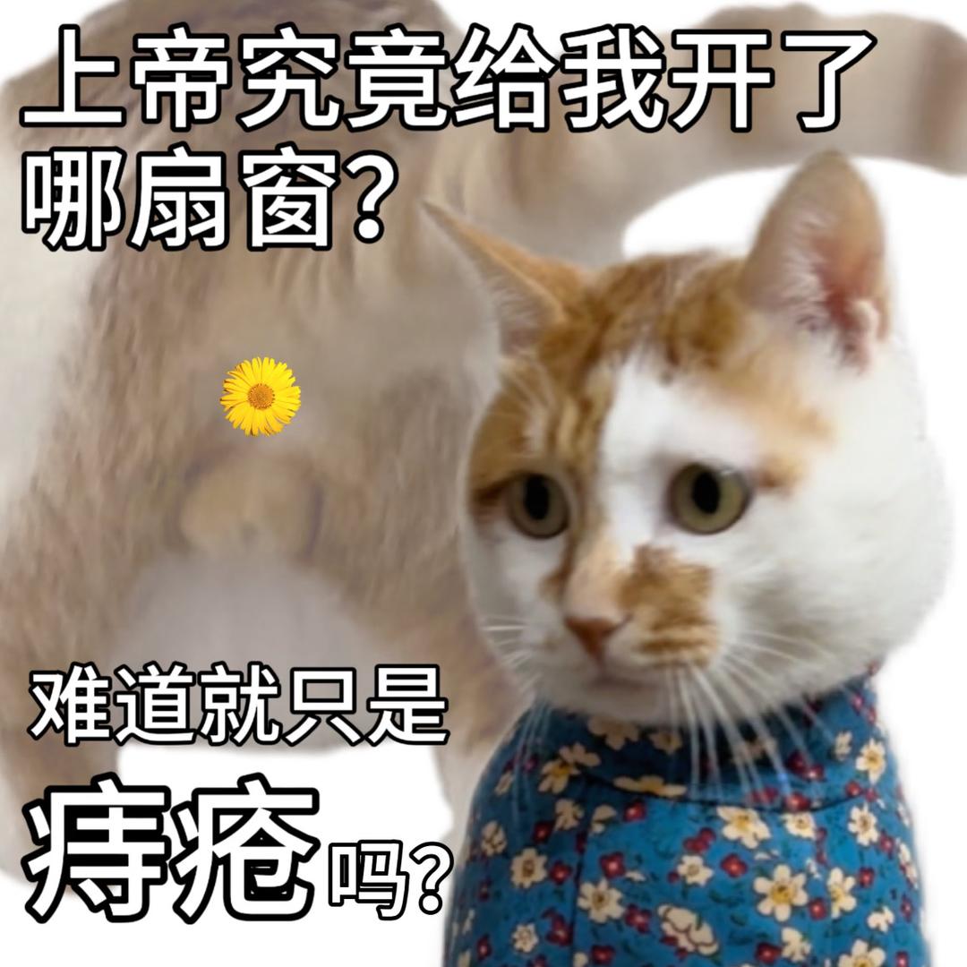 刚嘎完痔疮的富婆