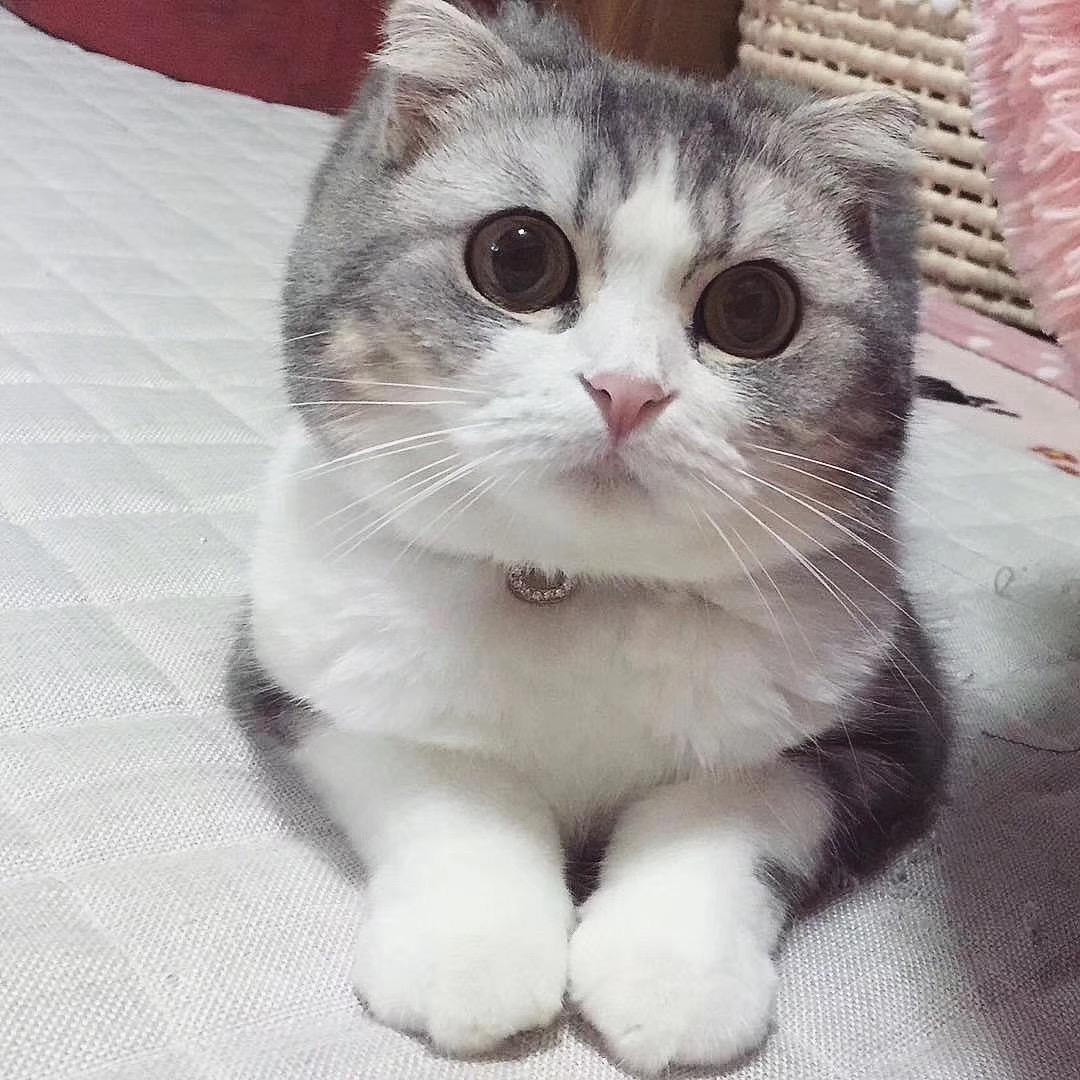 Eric.