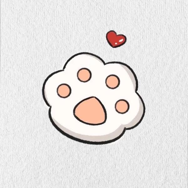 金爪爪潮玩小店