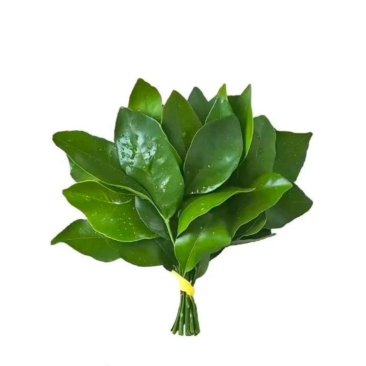 H嬛嬛~