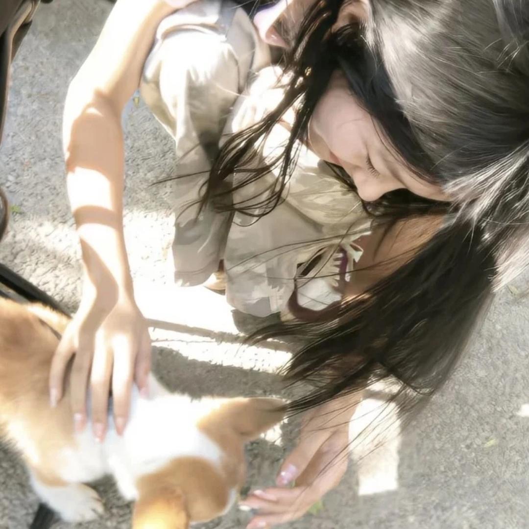 安森