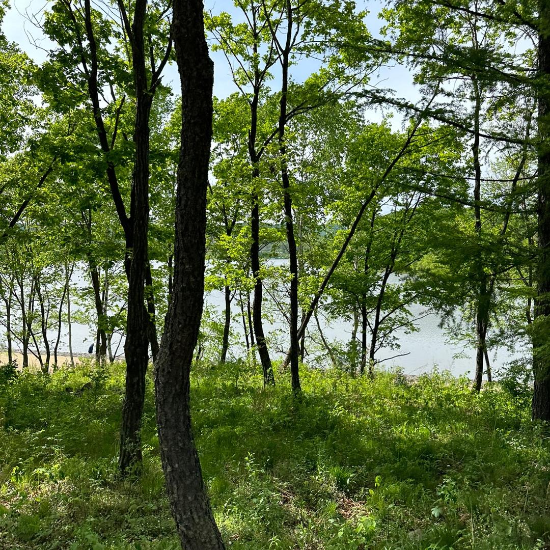 点点滴滴的点滴