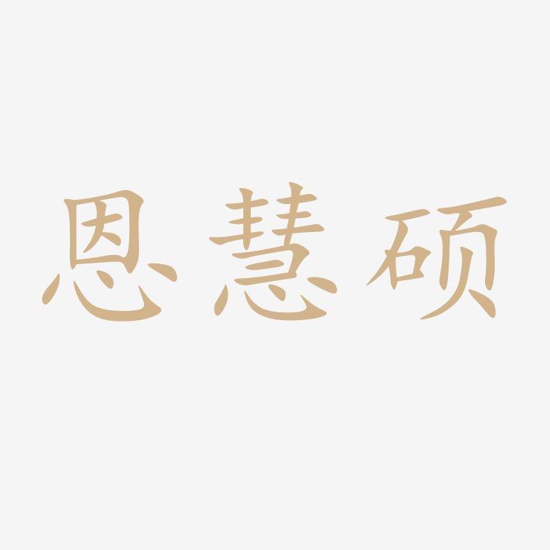 恩慧硕玩具批发店