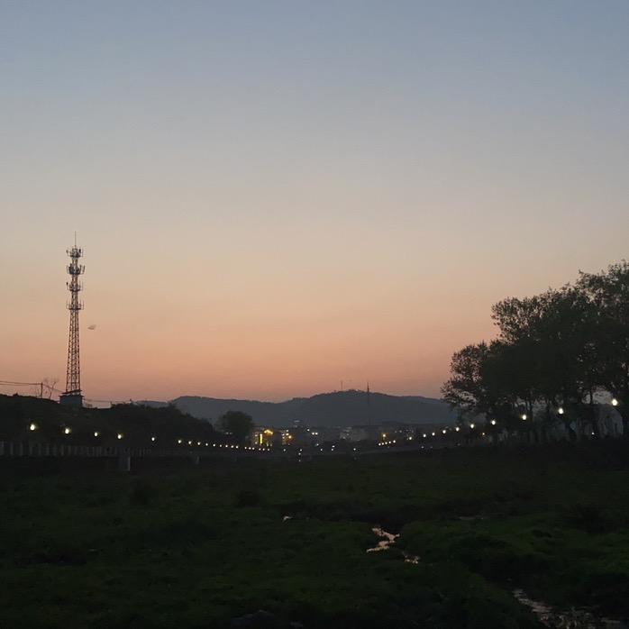 林