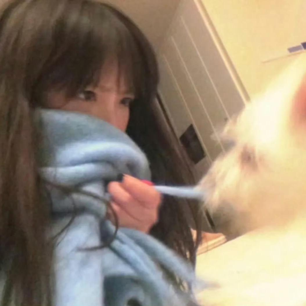 歪歪蛋