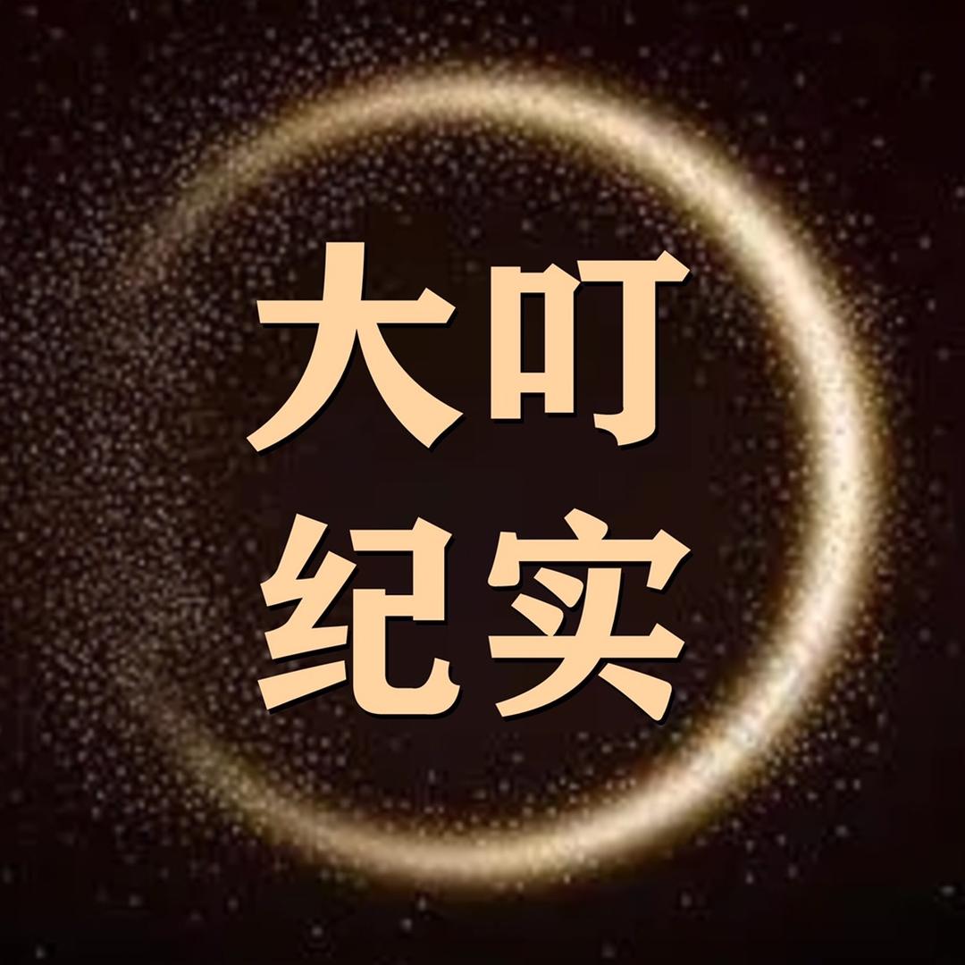 大叮纪实