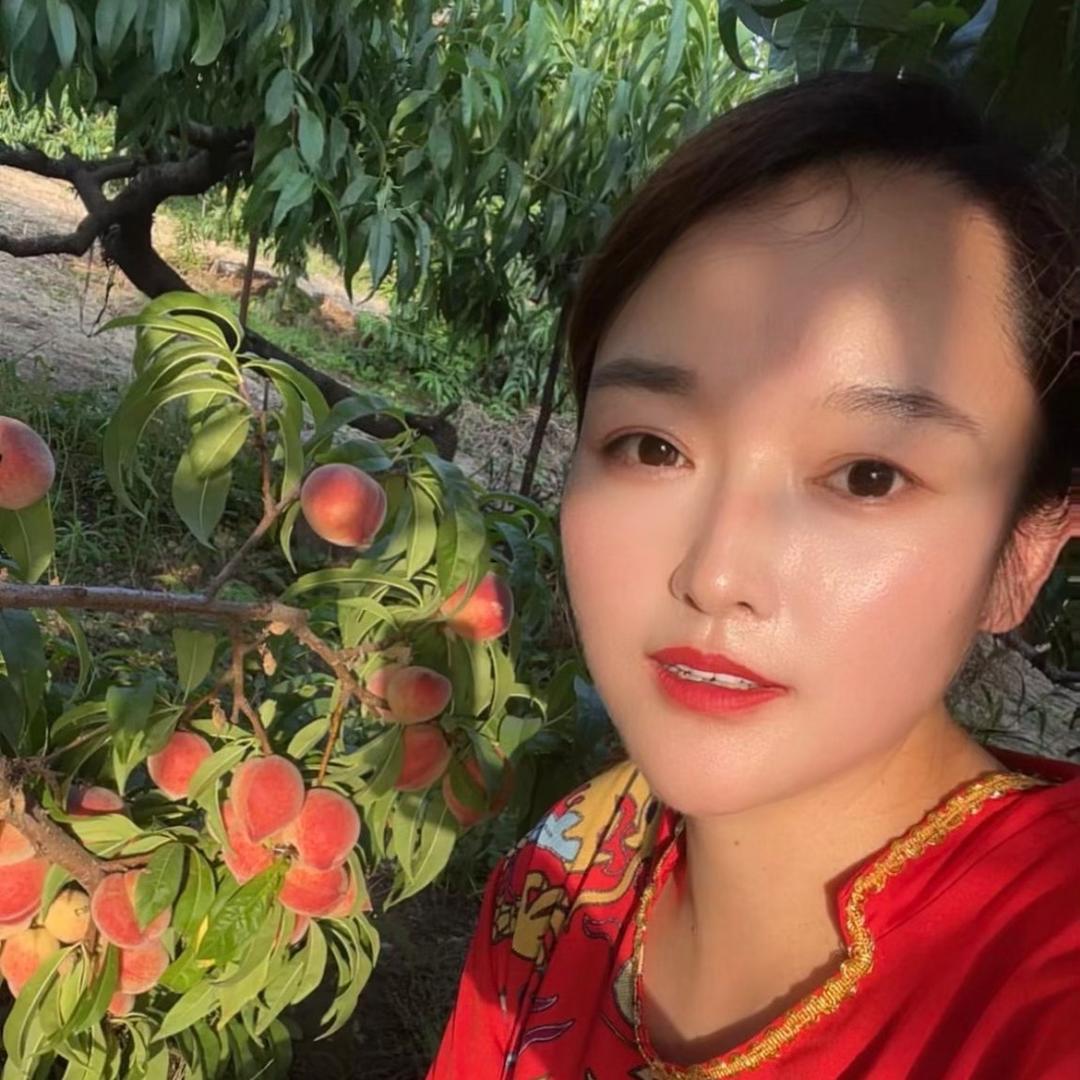小碟的生活