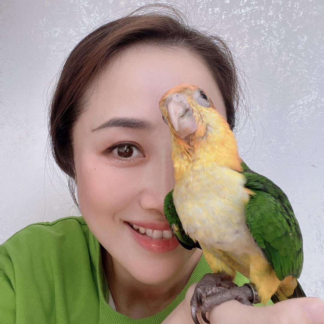 鹦妈妈🦜（可批发）