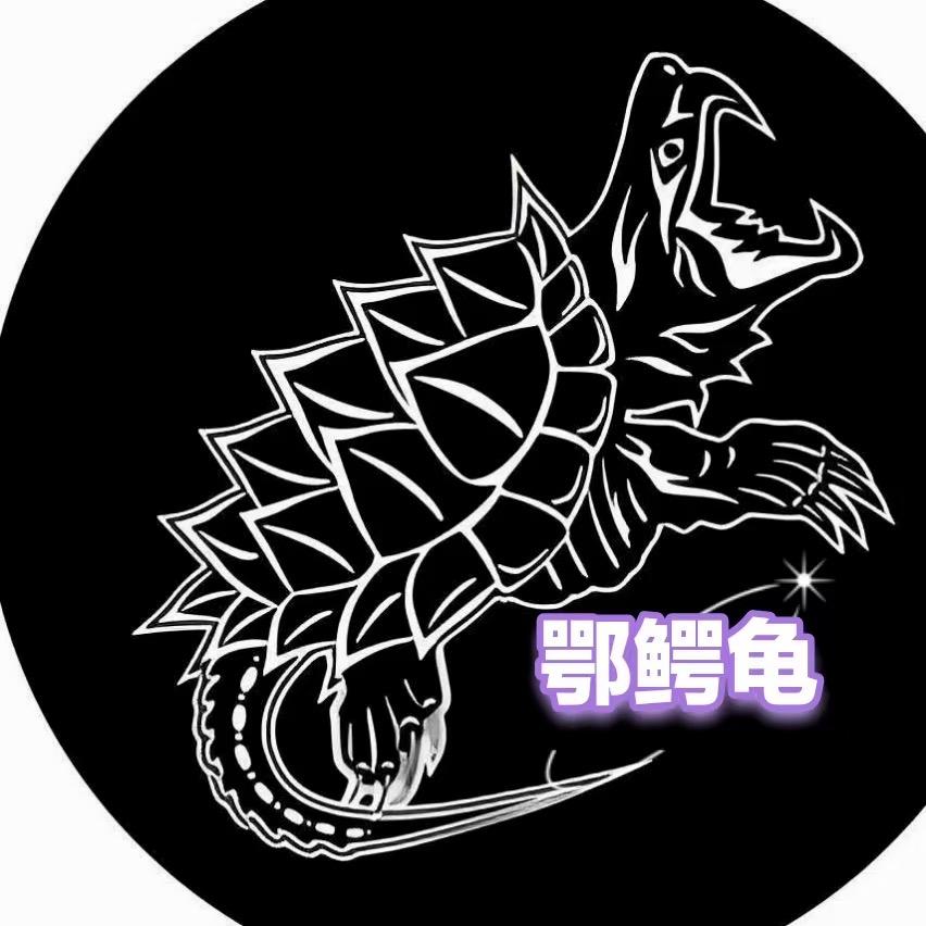 鄂鳄龟