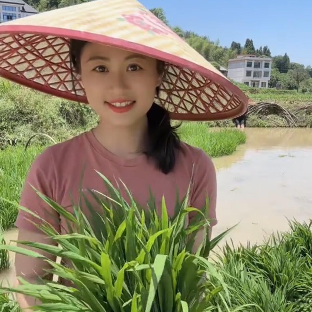 田园昭君(点我橱窗,有好物)