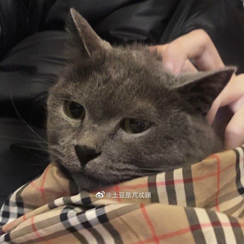 小睡杰不着