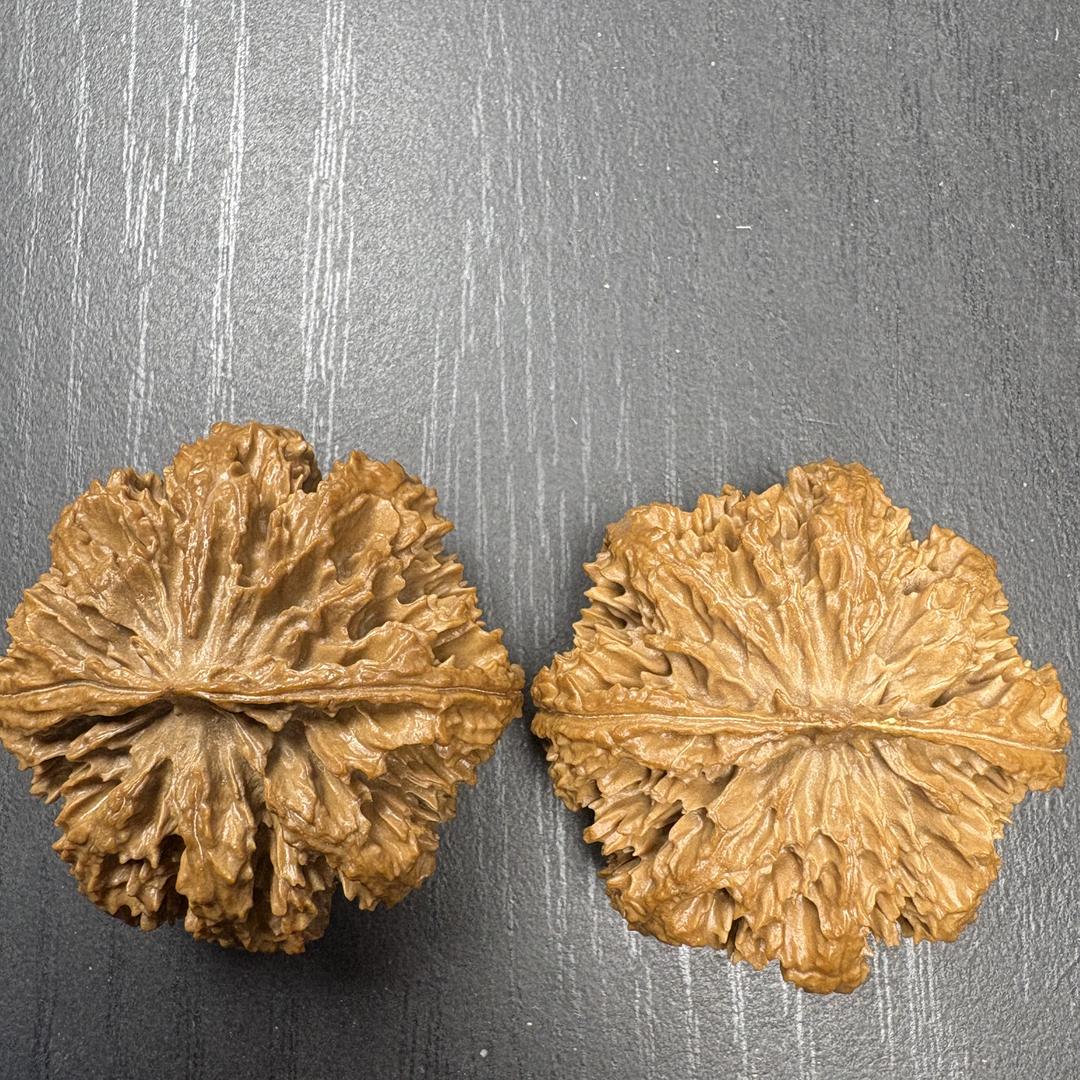 秦岭野生淼淼核桃