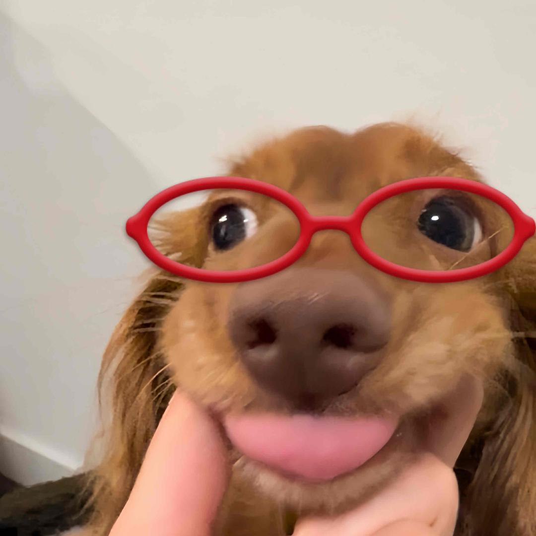 是瑶瑶呐