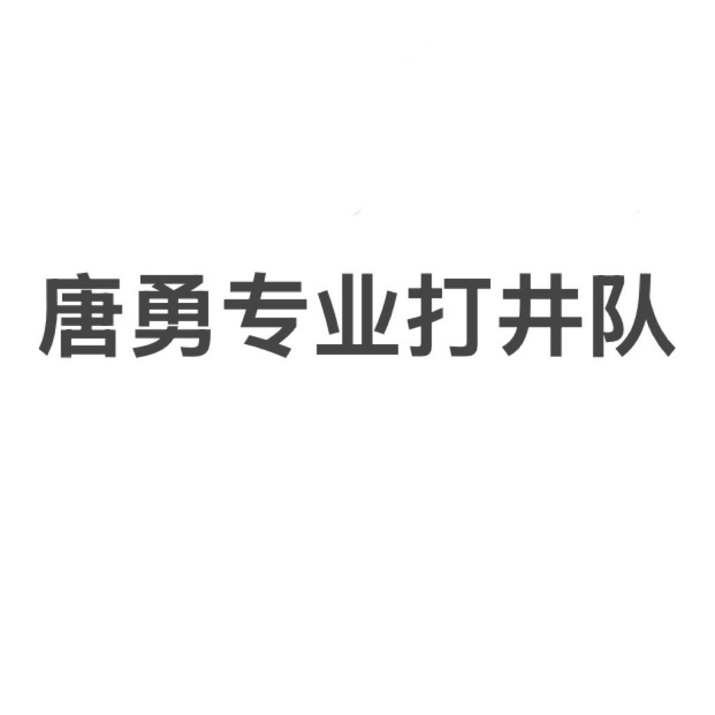 营山瑞婷打井队（唐勇团队）