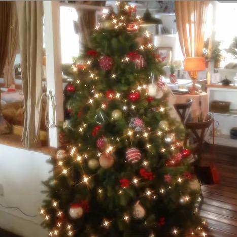 是你要的圣诞礼物