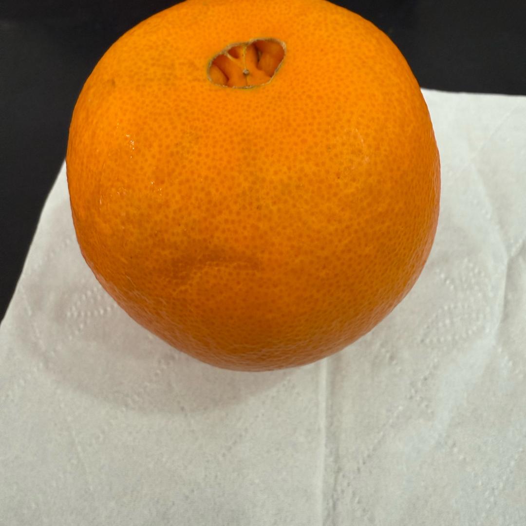 心想事橙🍊