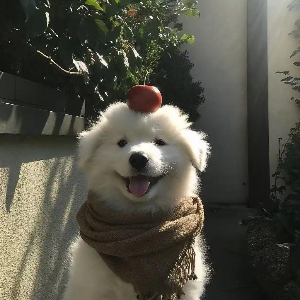 今天会开心吧