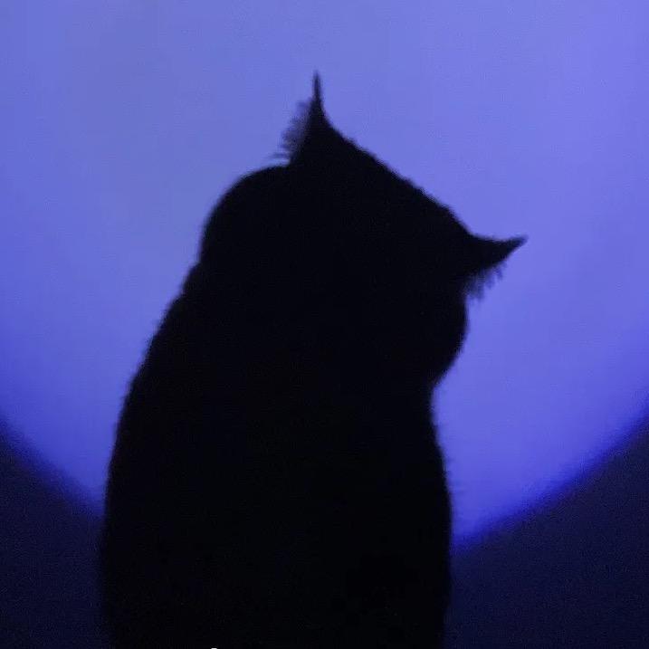 阿豆丁/•᷅•᷄\୭