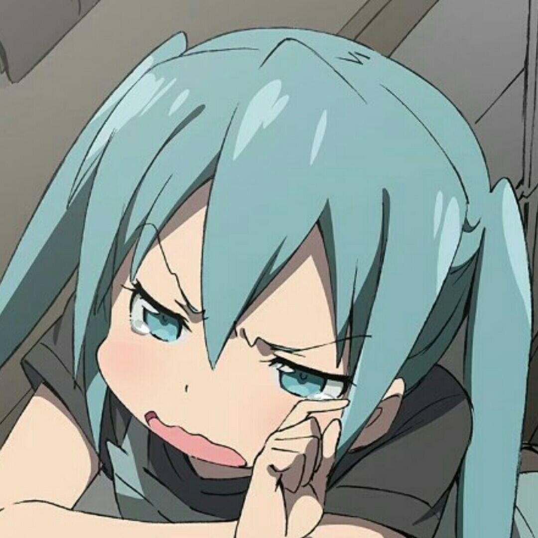 水水喵