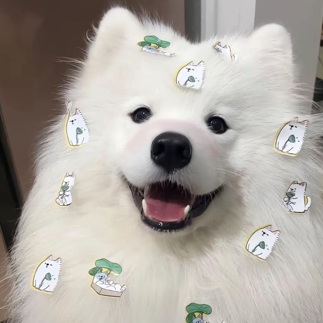 枳，