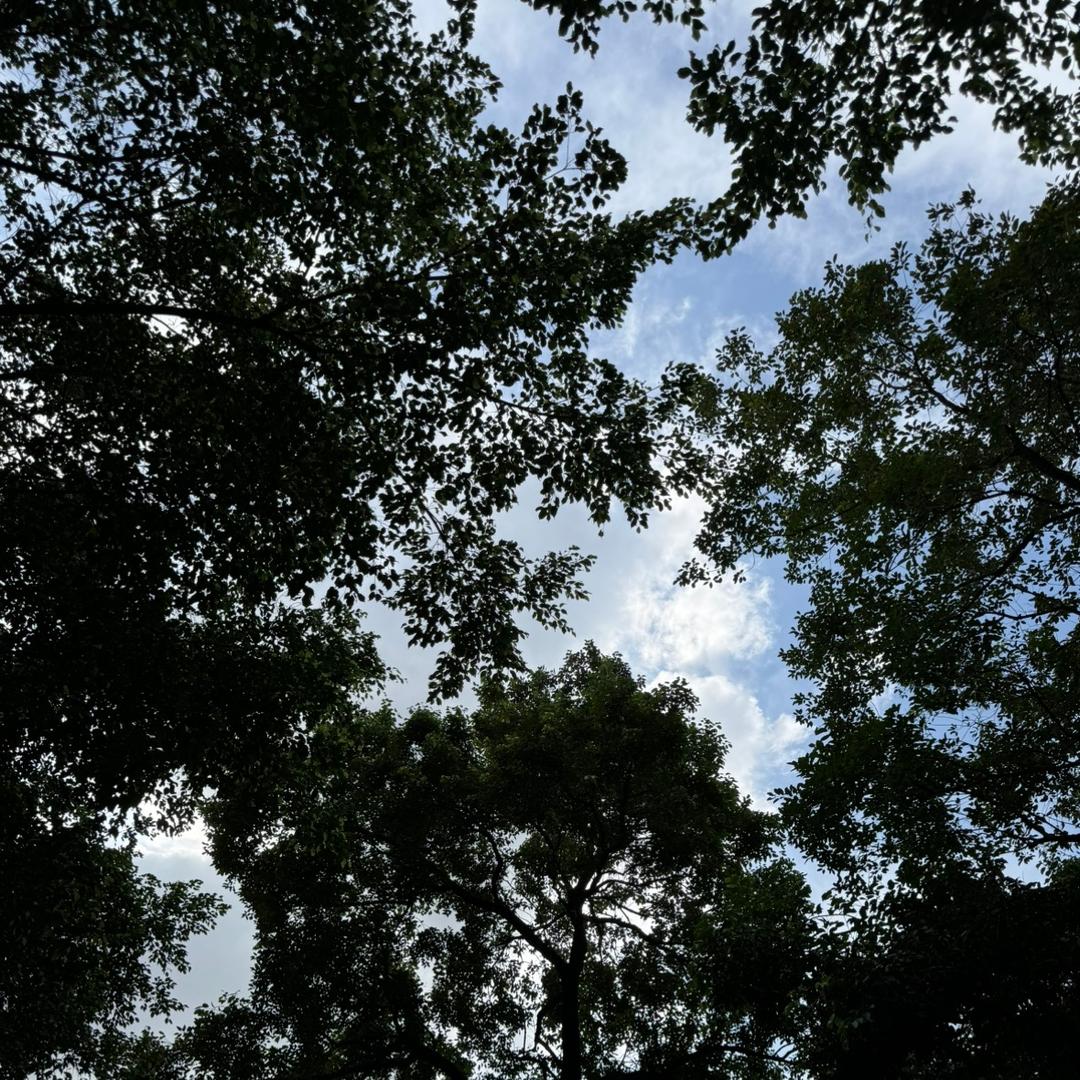 爱吃肉肉的小柔