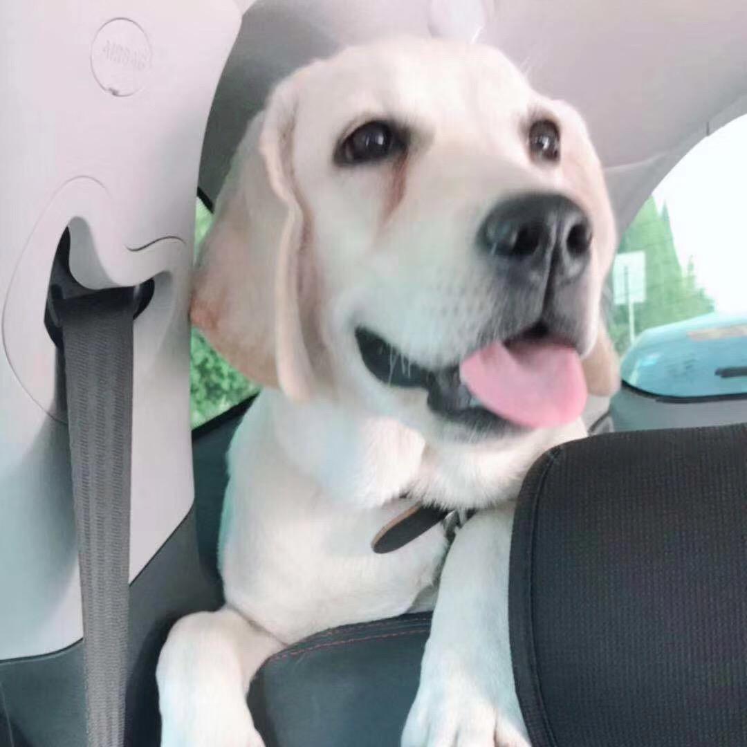 _@。