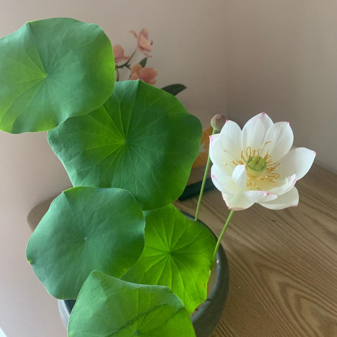 啊啊啊啊啊啊啊