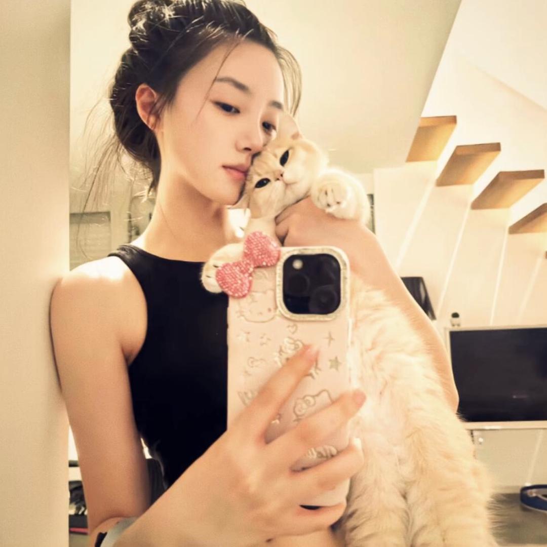 宣-😽