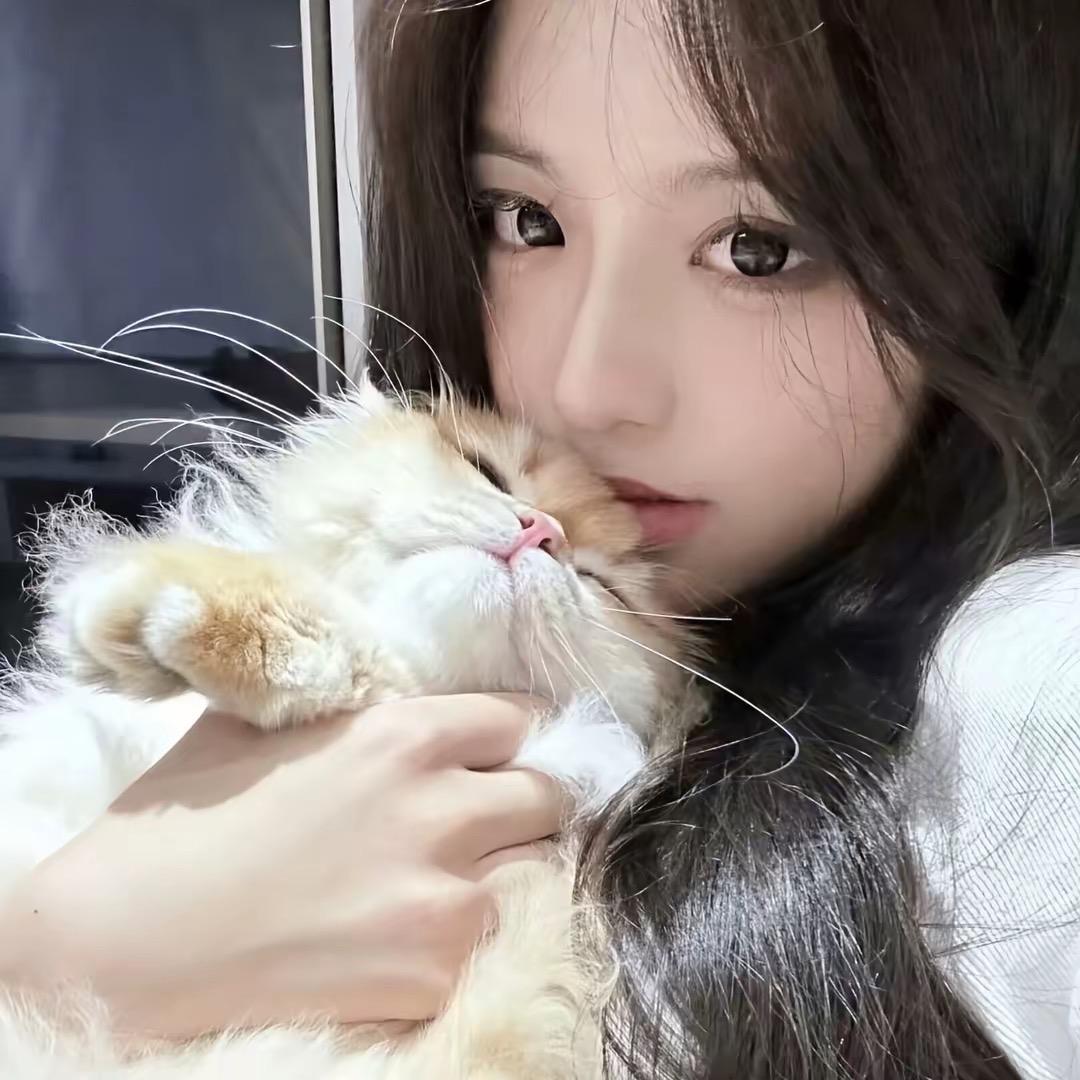 心心传媒