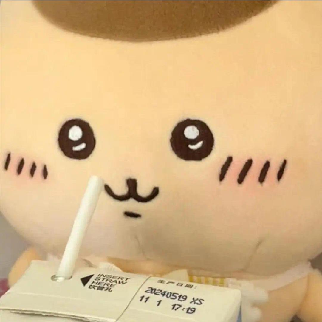 都有猫病是吧