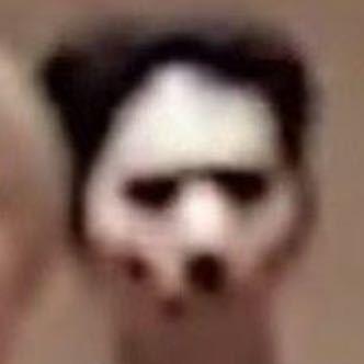 诅少大王牛逼666