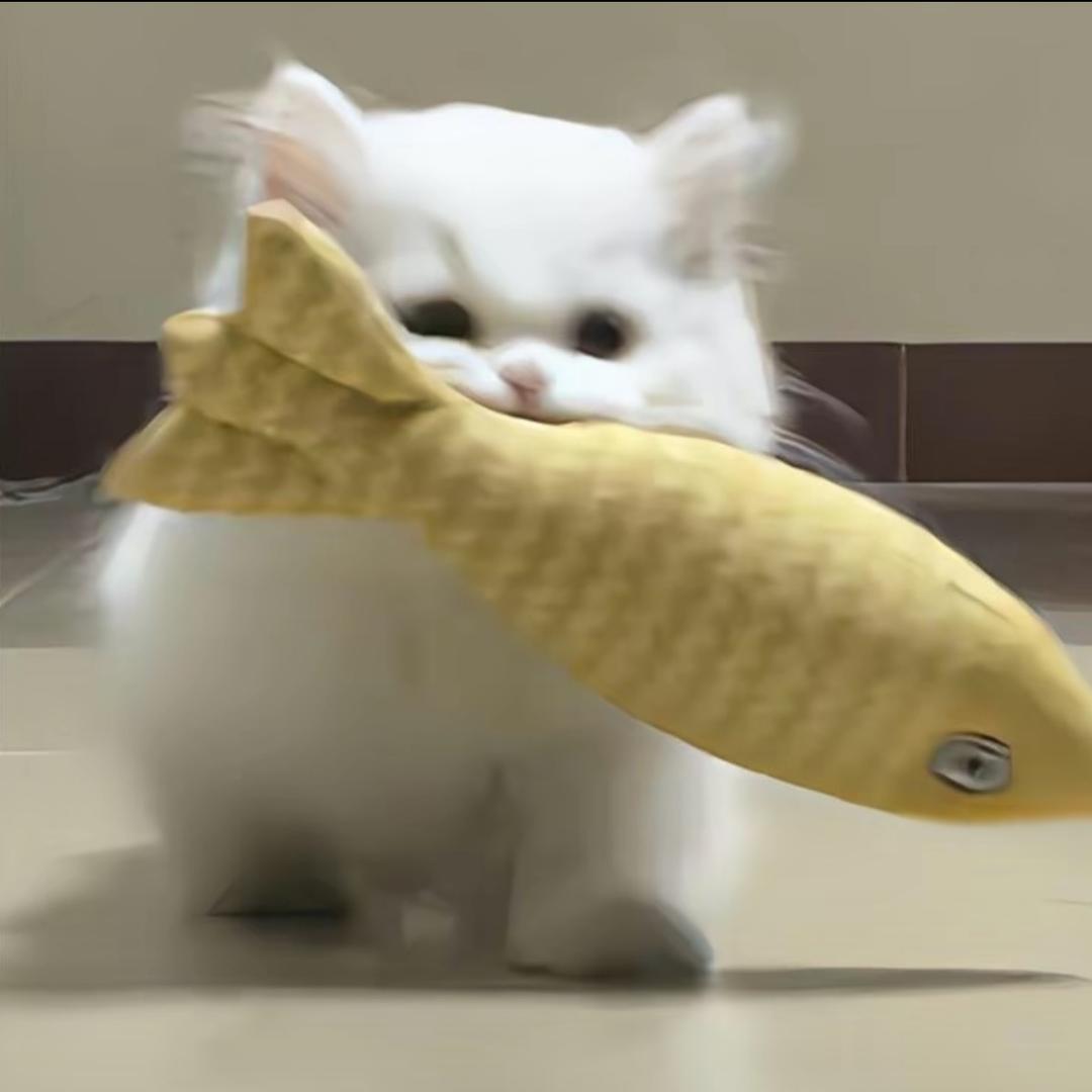 小猫爱吃鱼🐟