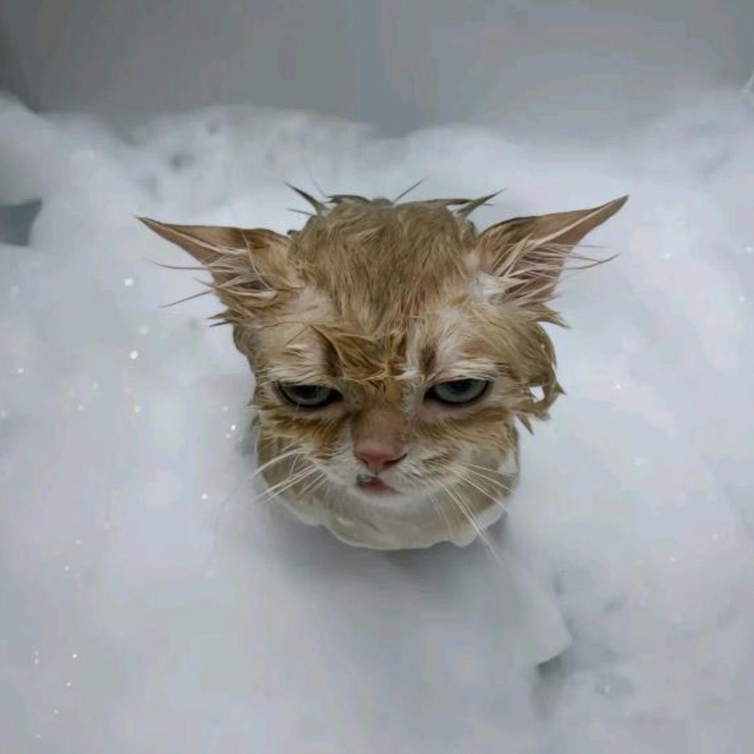 再也不晚上吃乐事了