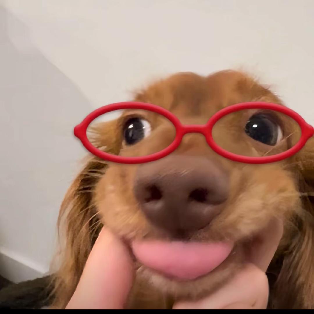 呼啦圈