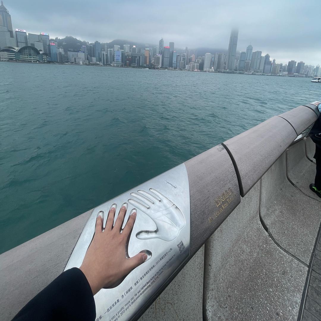 何必当网红