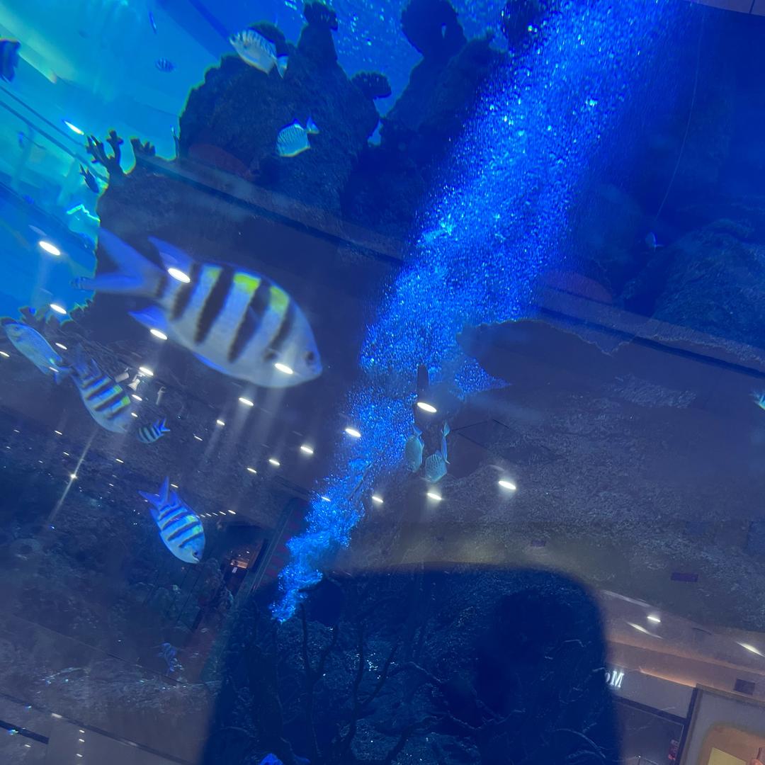 治愈