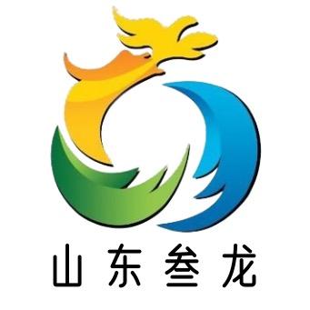 建造师咨询服务