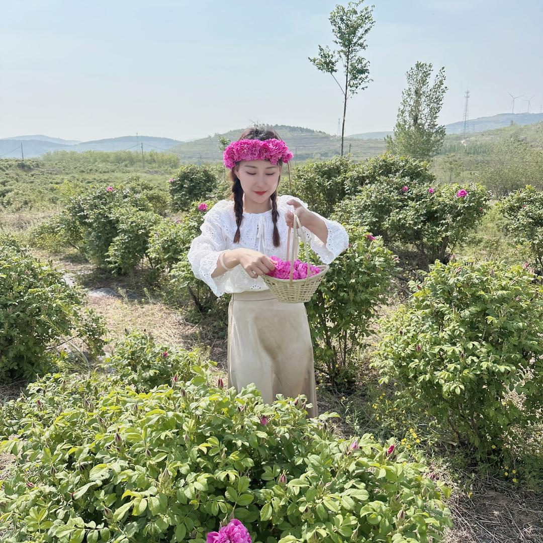 花间玫瑰姑娘
