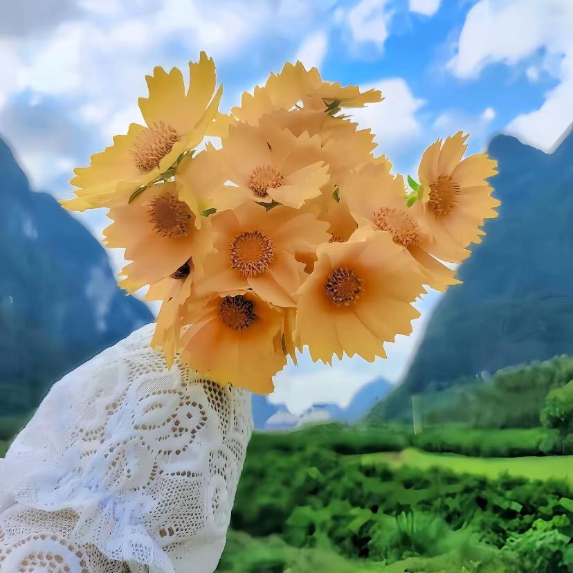 小糖在新疆💕
