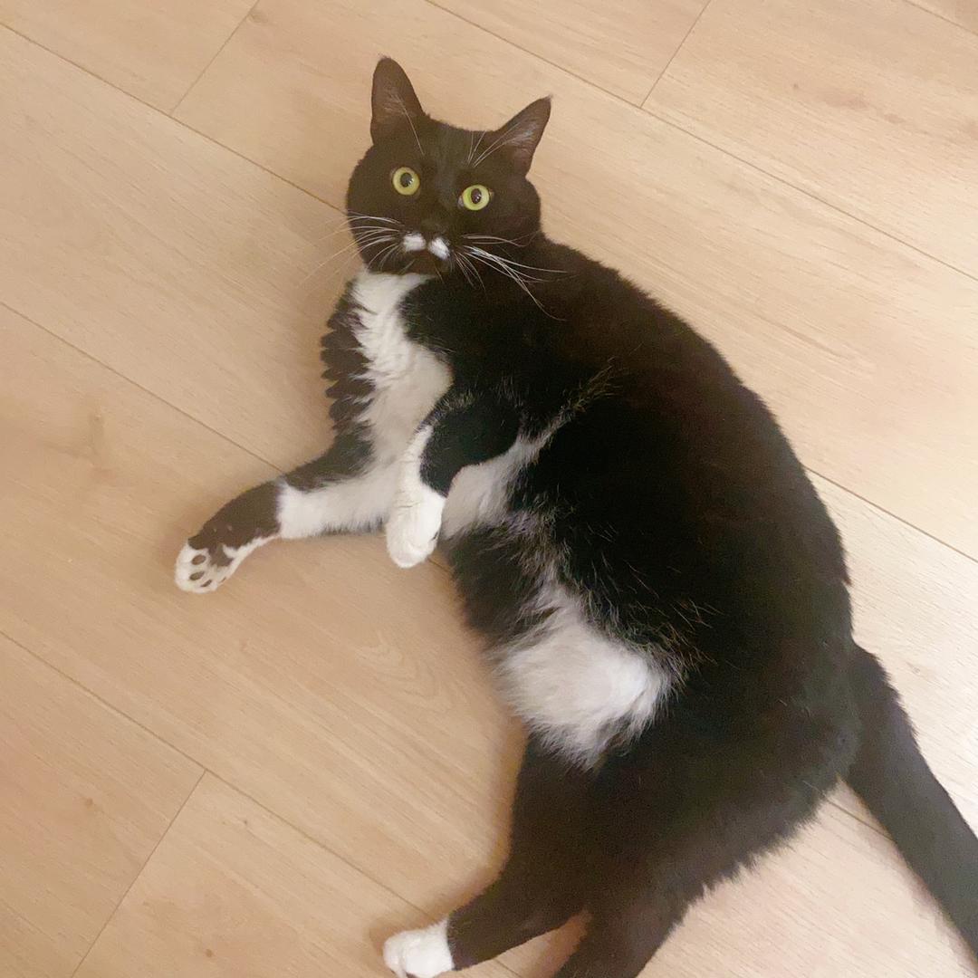 小草莓爱吃草莓🍓