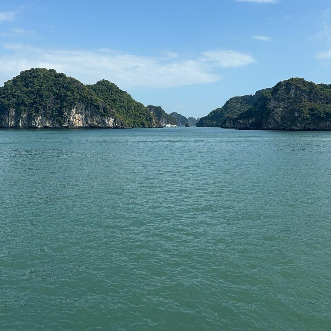 ❣️ღ陌离꧂²⁰²⁴